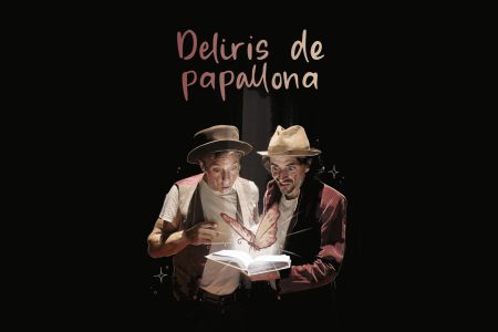 Deliris de papallona-rectangular